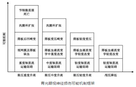 6686体育学术课堂：眼颅压力梯度在青光眼视神经损伤机制中作用2.png